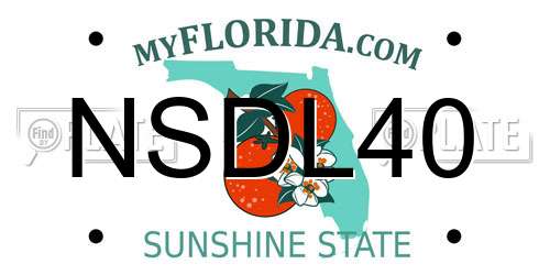 NSDL40 Florida License Plate