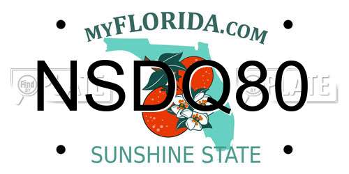 NSDQ80 Florida License Plate