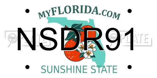 NSDR91 Florida License Plate