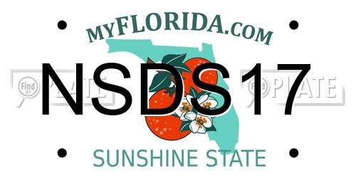 NSDS17 Florida License Plate