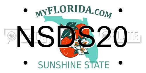NSDS20 Florida License Plate