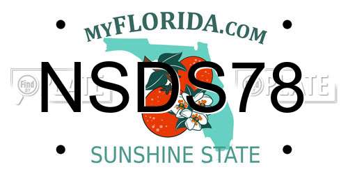 NSDS78 Florida License Plate