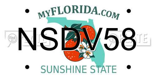 NSDV58 Florida License Plate