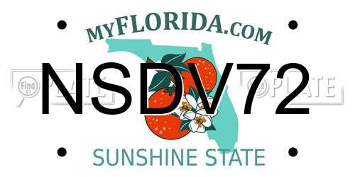 NSDV72 Florida License Plate