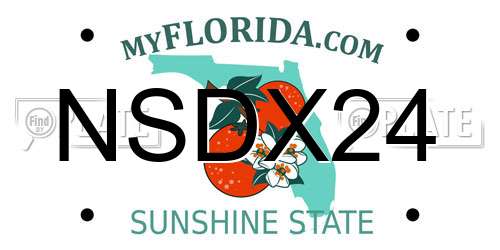 NSDX24 Florida License Plate