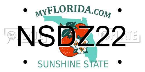 NSDZ22 Florida License Plate