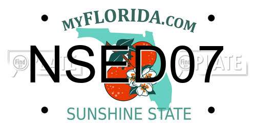 NSED07 Florida License Plate