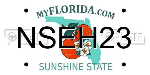 NSEH23 Florida License Plate