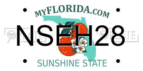 NSEH28 Florida License Plate
