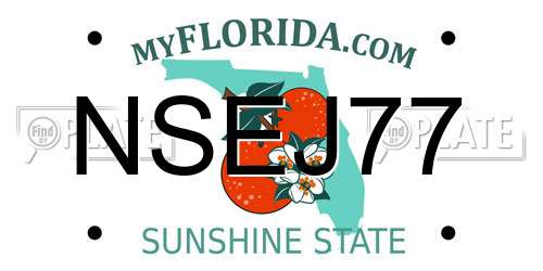 NSEJ77 Florida License Plate