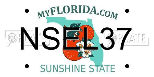 NSEL37 Florida License Plate