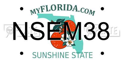 NSEM38 Florida License Plate