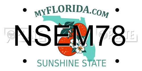 NSEM78 Florida License Plate