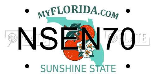 NSEN70 Florida License Plate