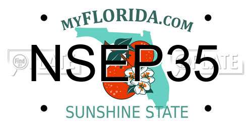 NSEP35 Florida License Plate