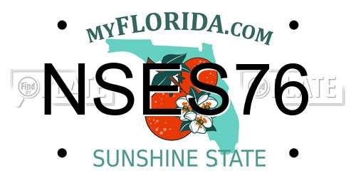 NSES76 Florida License Plate