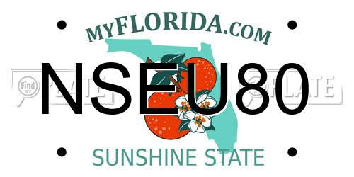 NSEU80 Florida License Plate