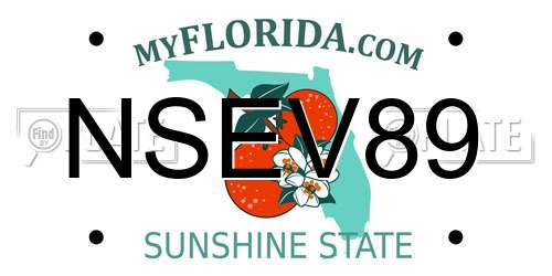 NSEV89 Florida License Plate