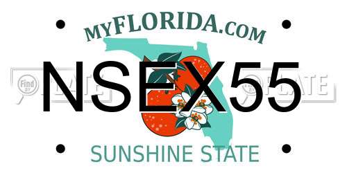 NSEX55 Florida License Plate
