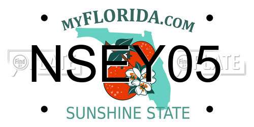 NSEY05 Florida License Plate
