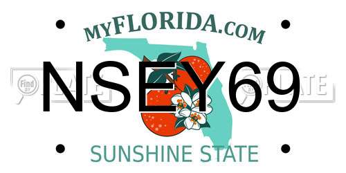 NSEY69 Florida License Plate