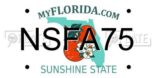 NSFA75 Florida License Plate