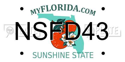 NSFD43 Florida License Plate