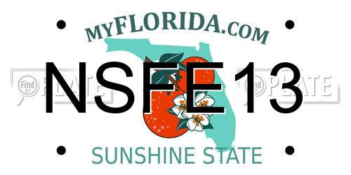 NSFE13 Florida License Plate
