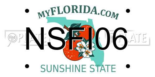 NSFI06 Florida License Plate