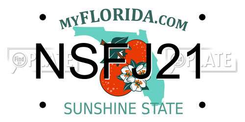 NSFJ21 Florida License Plate