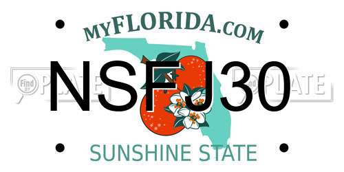 NSFJ30 Florida License Plate