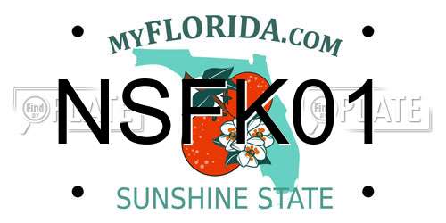 NSFK01 Florida License Plate