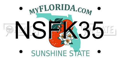 NSFK35 Florida License Plate