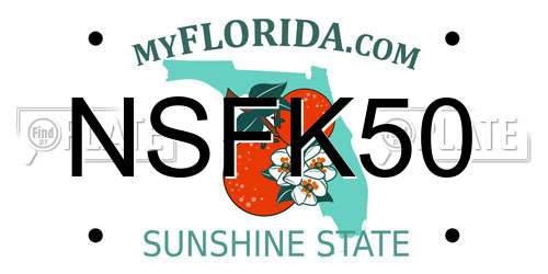 NSFK50 Florida License Plate