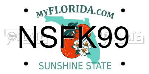NSFK99 Florida License Plate