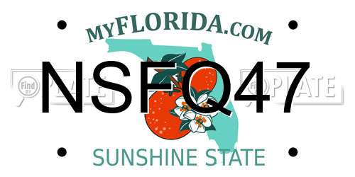 NSFQ47 Florida License Plate