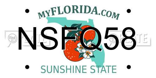 NSFQ58 Florida License Plate