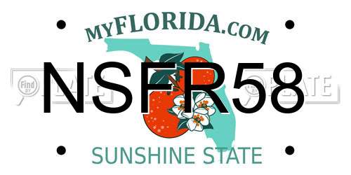 NSFR58 Florida License Plate