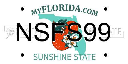 NSFS99 Florida License Plate