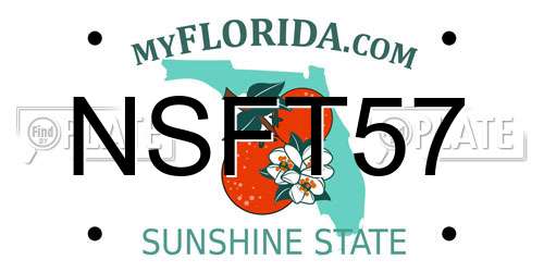 NSFT57 Florida License Plate