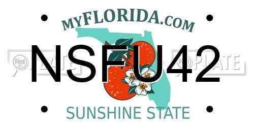 NSFU42 Florida License Plate
