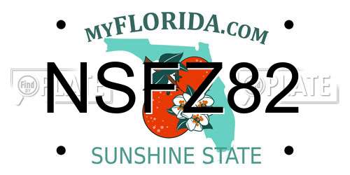 NSFZ82 Florida License Plate