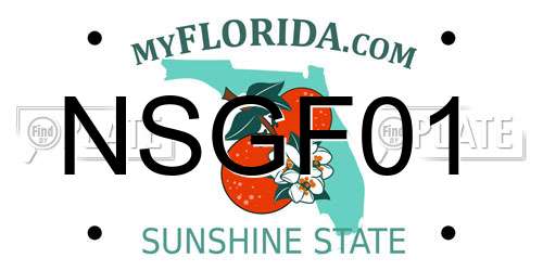 NSGF01 Florida License Plate