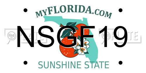 NSGF19 Florida License Plate