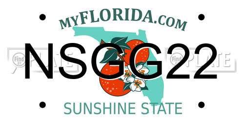 NSGG22 Florida License Plate