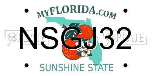 NSGJ32 Florida License Plate