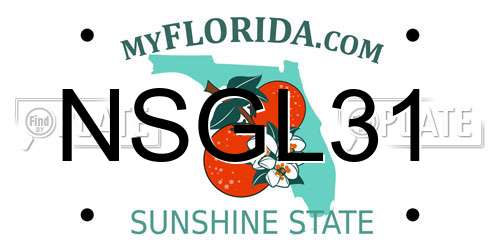 NSGL31 Florida License Plate