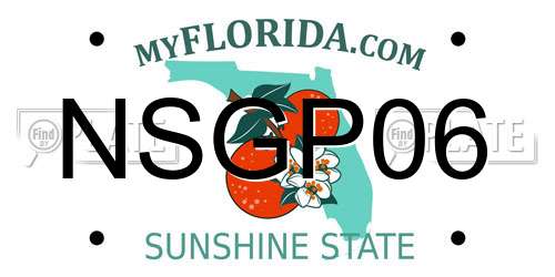 NSGP06 Florida License Plate