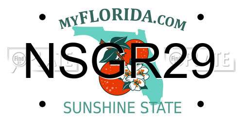 NSGR29 Florida License Plate