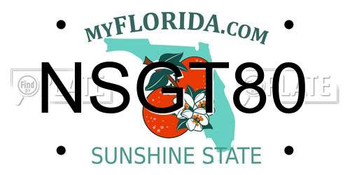 NSGT80 Florida License Plate